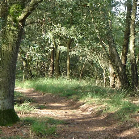 Kempen Comfort With Sauna & Tub * Vessem