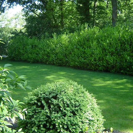 Σπίτι διακοπών Kempen Comfort With Sauna & Tub