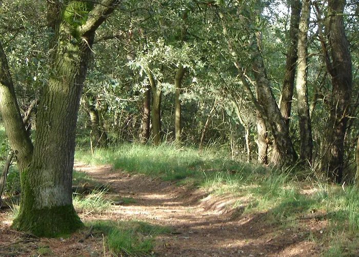 Kempen Comfort With Sauna & Tub * Vessem