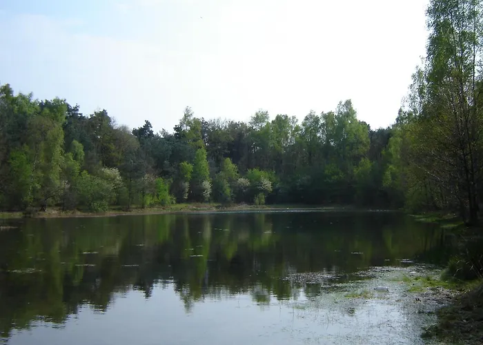 別荘 Kempen Comfort With Sauna & Tub