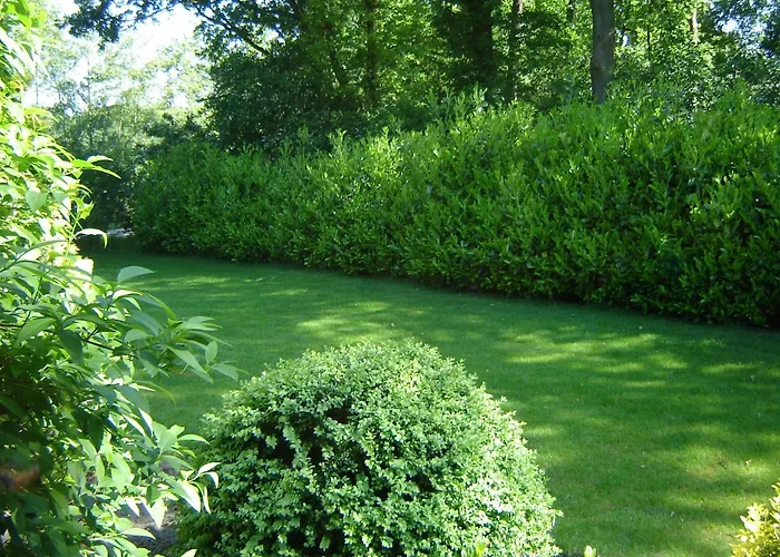 Nyaraló Kempen Comfort With Sauna & Tub